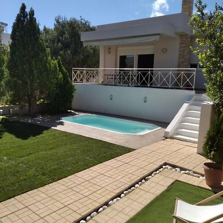 Cozy Villa Vita Lagonisi Kalívia Thorikú Kültér fotó