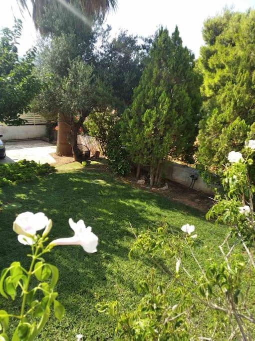 Cozy Villa Vita Lagonisi Kalívia Thorikú Kültér fotó