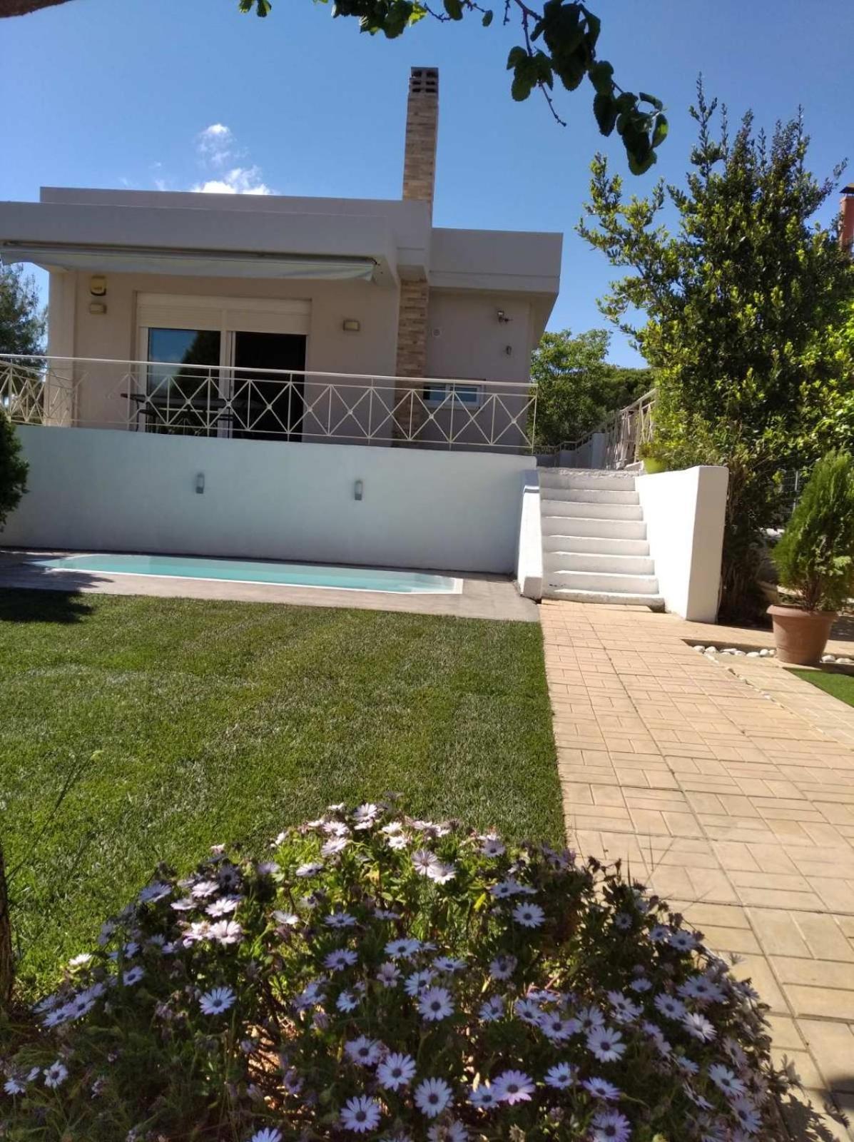Cozy Villa Vita Lagonisi Kalívia Thorikú Kültér fotó